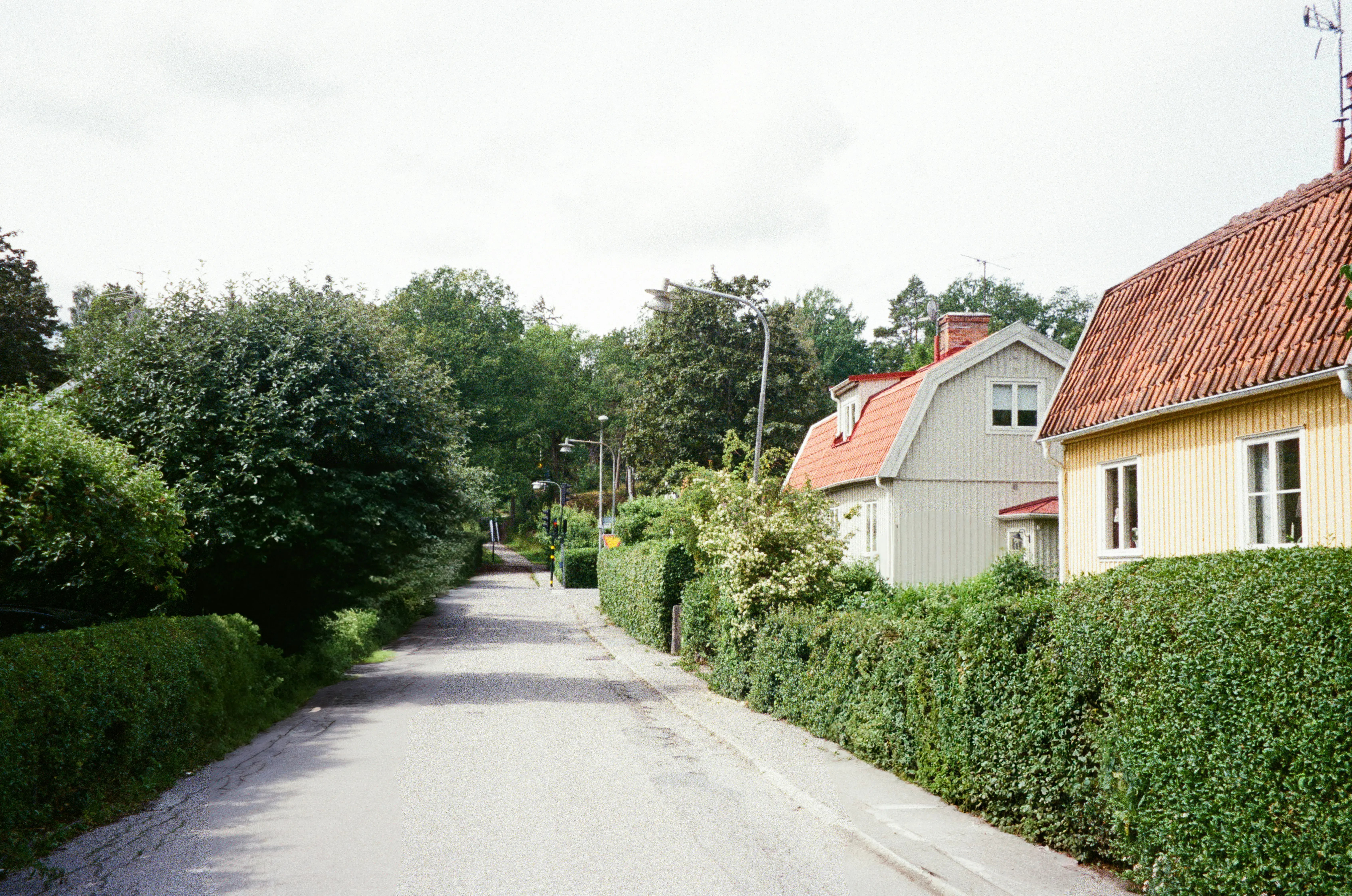 Smukke træhuse i Gentofte med en smuk stig