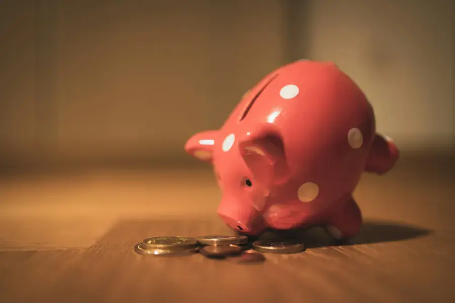 Budget