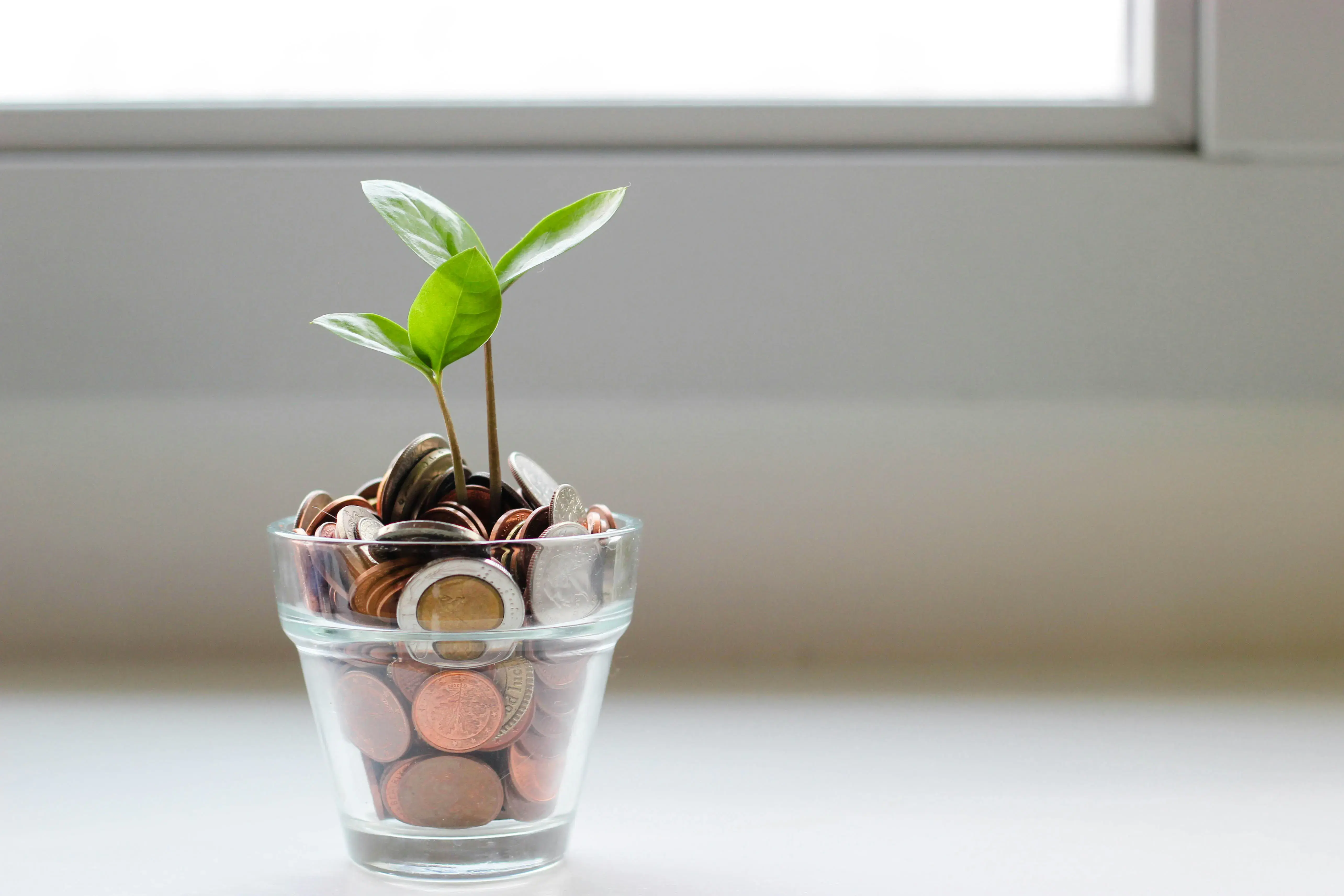 Budget tips