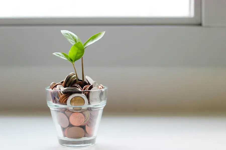 Budget tips