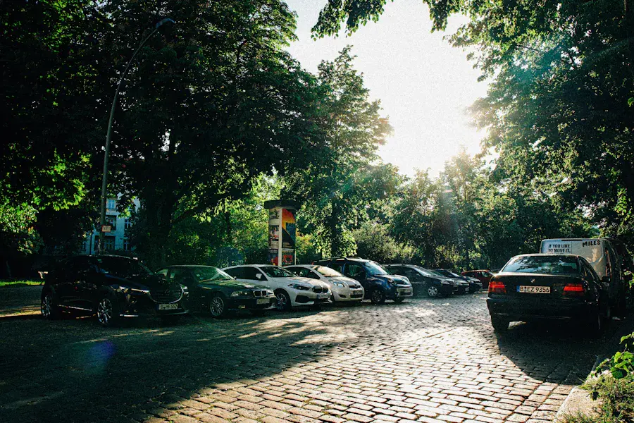 Nature Friedrichshain-Kreuzberg