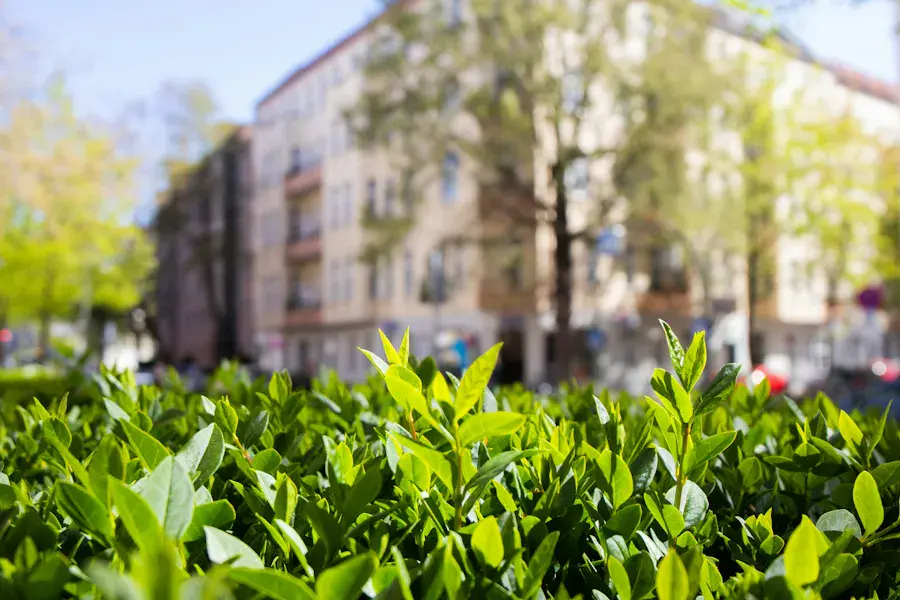 Natur Charlottenburg-Wilmersdorf